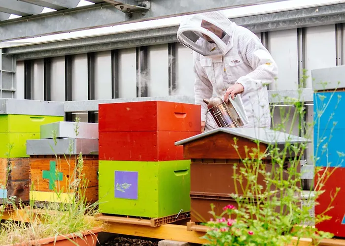 南锡中心阿德吉奥阿克瑟斯公寓式酒店